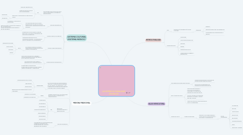 Mind Map: LA INTERCULTURALIDAD EN SALUD