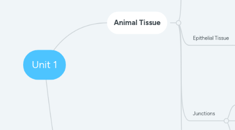 Mind Map: Unit 1