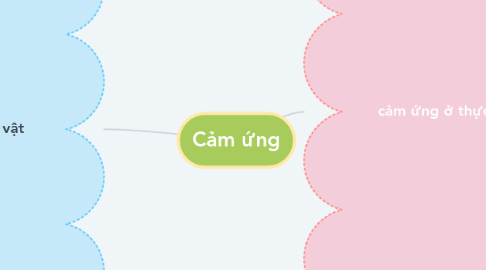 Mind Map: Cảm ứng