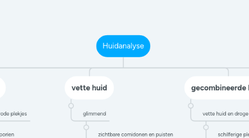 Mind Map: Huidanalyse