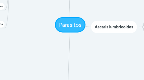 Mind Map: Parasitos