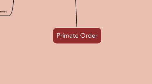 Mind Map: Primate Order