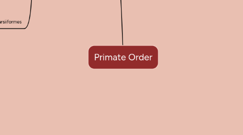 Mind Map: Primate Order