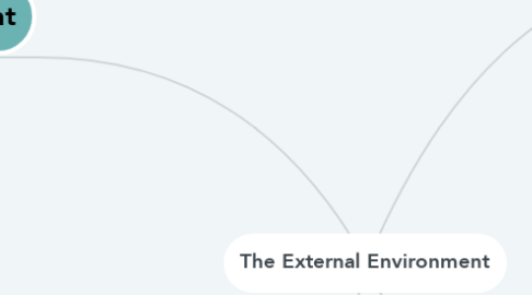 Mind Map: The External Environment