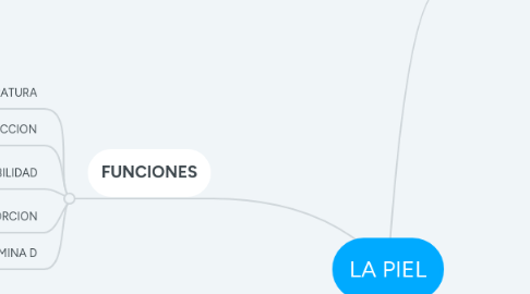 Mind Map: LA PIEL