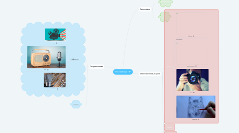 Mind Map: Класифікація ТЗН