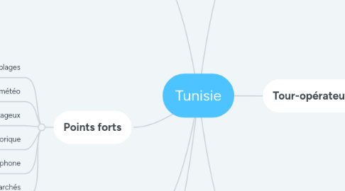 Mind Map: Tunisie