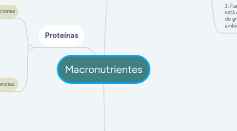 Mind Map: Macronutrientes
