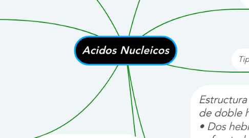 Mind Map: Acidos Nucleicos