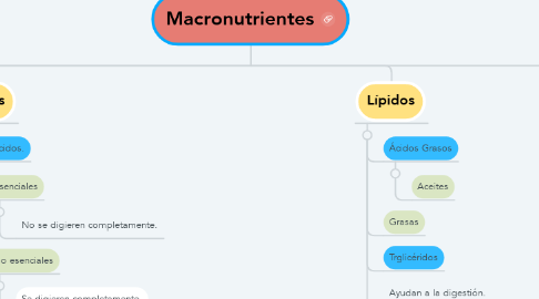 Mind Map: Macronutrientes