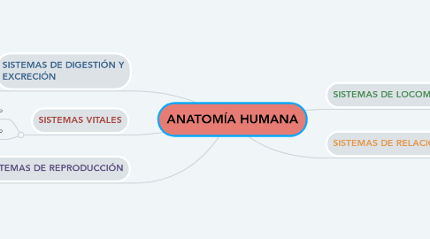 Mind Map: ANATOMÍA HUMANA