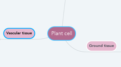 Mind Map: Plant cell