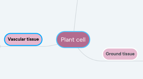 Mind Map: Plant cell