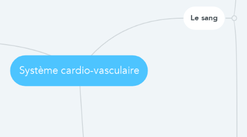 Mind Map: Système cardio-vasculaire