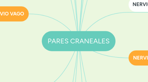 Mind Map: PARES CRANEALES