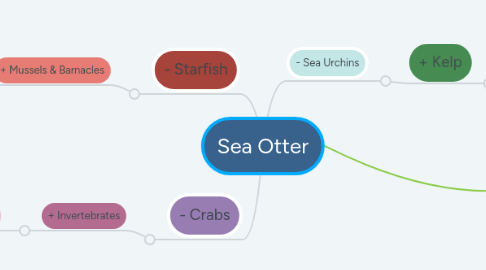 Mind Map: Sea Otter