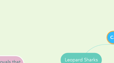 Mind Map: Leopard Sharks