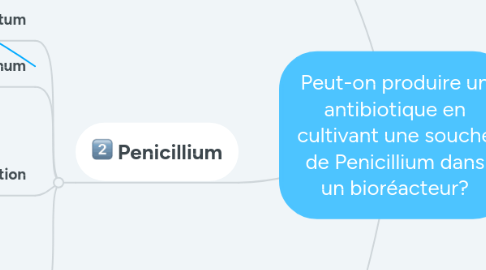 Mind Map: Peut-on produire un antibiotique en cultivant une souche de Penicillium dans un bioréacteur?