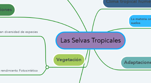 Mind Map: Las Selvas Tropicales