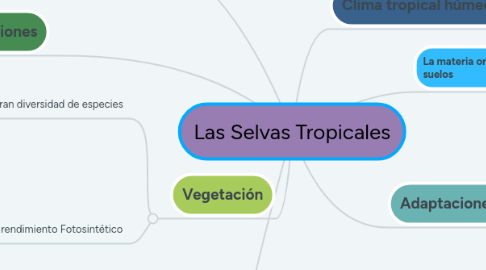 Mind Map: Las Selvas Tropicales