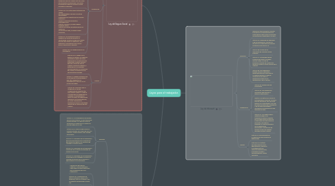 Mind Map: Leyes para el trabajador.