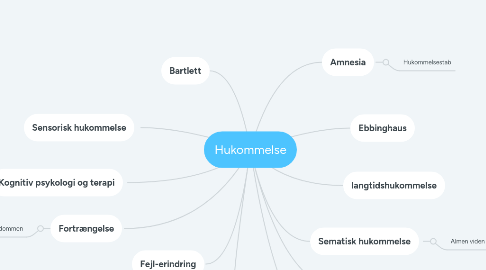 Mind Map: Hukommelse