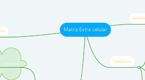 Mind Map: Matriz Extra celular