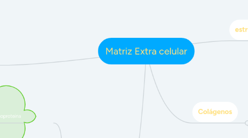 Mind Map: Matriz Extra celular