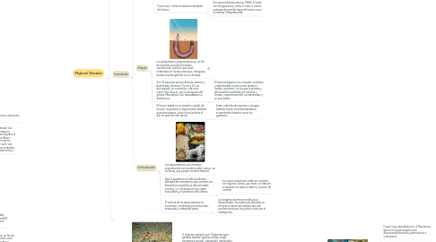 Mind Map: BIOTA