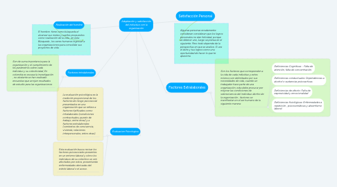 Mind Map: Adaptación y satisfacción del individuo con la organización