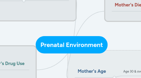 Mind Map: Prenatal Environment