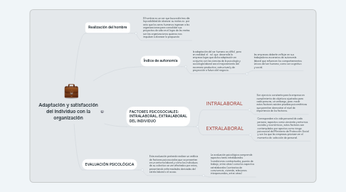 Mind Map: Adaptación y satisfacción del individuo con la organización