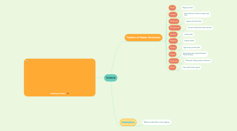 Mind Map: Science