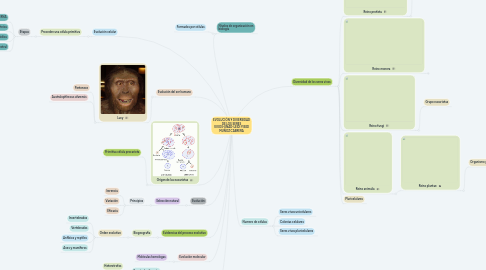 Mind Map: EVOLUCIÓN Y DIVERSIDAD DE LOS SERES VIVOS-UNAD-LEIDI YISED MUÑOZ CABRERA