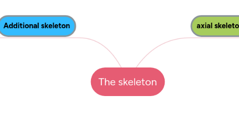 Mind Map: The skeleton