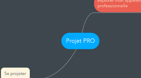Mind Map: Projet PRO