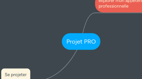 Mind Map: Projet PRO