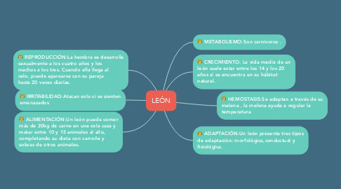 Mind Map: LEÓN