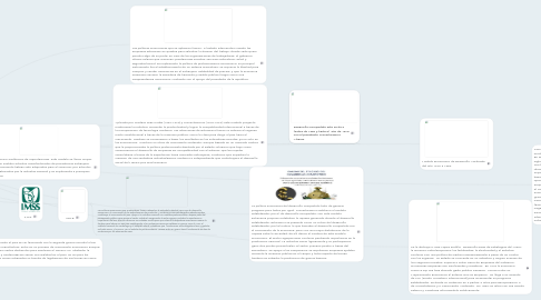 Mind Map: Modelos Economicos Contemporaneos