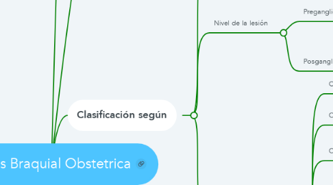 Mind Map: Paralisis Braquial Obstetrica