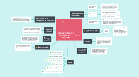 Mind Map: Componentes de la Investigación de Mercado