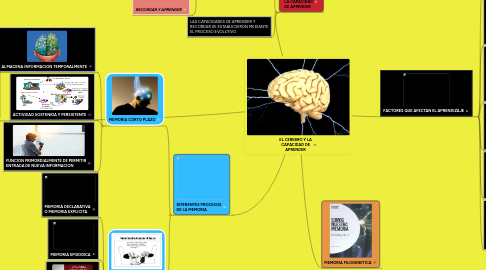 Mind Map: EL CEREBRO Y LA CAPACIDAD DE APRENDER