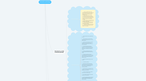 Mind Map: TENSIÓN ARTERIAL