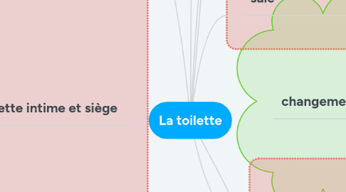 Mind Map: La toilette