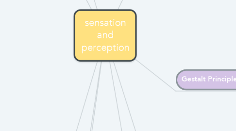 Mind Map: sensation and perception