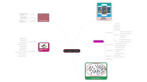 Mind Map: Investigación estadística