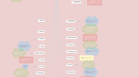 Mind Map: Terminologia de Turismo Sostenible.