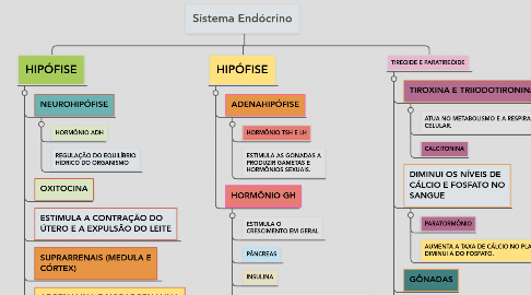 Mind Map: Sistema Endócrino