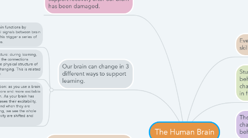 Mind Map: The Human Brain