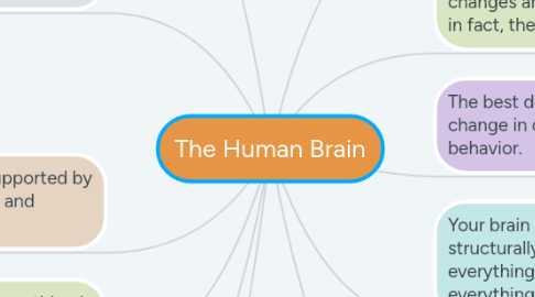 Mind Map: The Human Brain